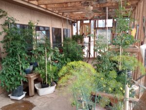 IMG_20250102_135123320