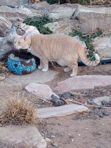 IMG_20250103_163643439