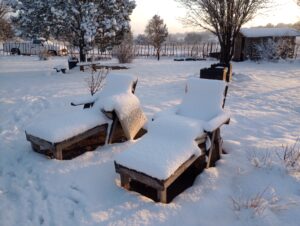 IMG_20250308_174035762