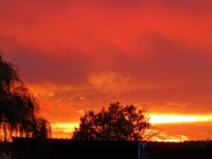 IMG_20250831_192538331