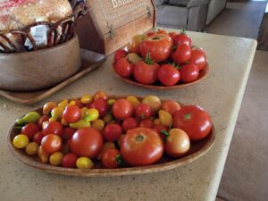 IMG_20250904_153902120