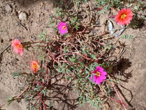 IMG_20250919_144226251