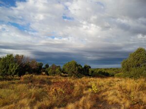 IMG_20251008_075352462_HDR