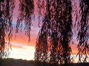 IMG_20251026_181810761