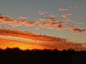 IMG_20251122_165304773