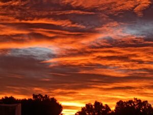 IMG_20251220_064939425