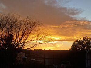 IMG_20260222_174340160