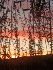 IMG_20260324_192715332