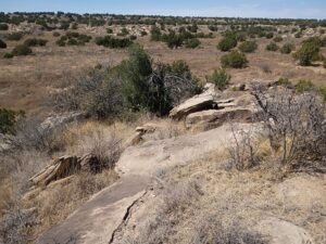 IMG_20260329_135727744