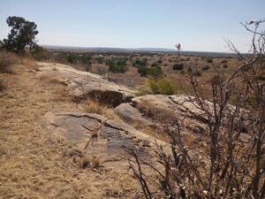 IMG_20260329_135749850