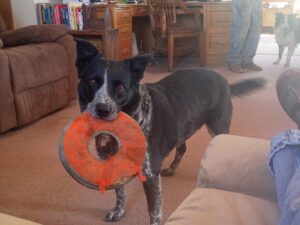 IMG_20260419_164943091
