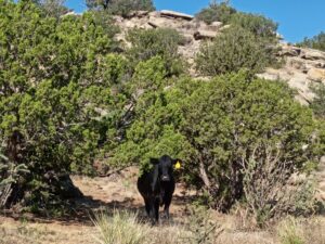 IMG_20260802_090156202
